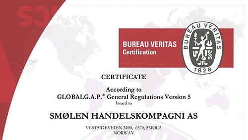 Last ned sertifikat